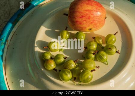 Das Stillleben, die Stachelbeeren und der Apfel stehen auf dem Teller. Das Foto wurde in Tscheljabinsk, Russland, aufgenommen. Stockfoto