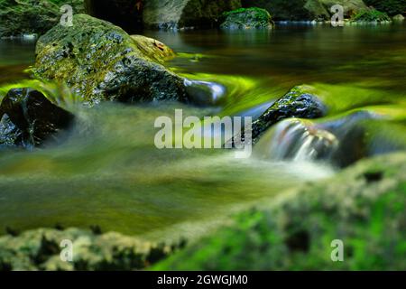 Waldfluss. Wasser über grünen moosigen Felsen. Langzeitfotografie, Bewegungsaufnahmen. Wellness und Wald Baden Hintergrund. Stockfoto