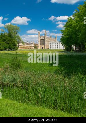 Fassade der King's College Chapel im gotischen Stil neben dem Gibbs' Building zwischen Feldern und Bäumen in der University of Cambridge England Stockfoto