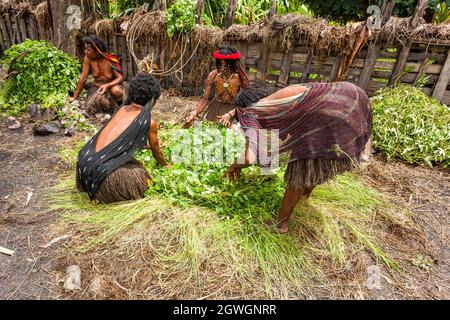 Wamena, Indonesien - 9. Januar 2010: Dani Frauen kochen Essen in einem Loch mit heißen Steinen gefüllt Stockfoto