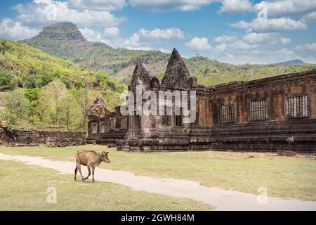 Wat Pho (oder Wat Phu) Tempel UNESCO-Welterbe Ruine, Champasak, Laos Stockfoto