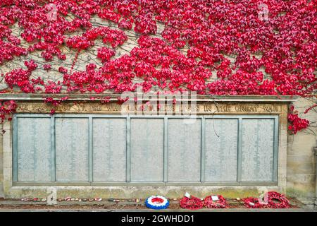 Kriegsdenkmal (für diejenigen, die im großen Krieg, auch bekannt als erster Weltkrieg, starben) an einer mit purpurrotem Efeu verkleideten Wand der Alfred East Kunstgalerie, Kettering, England. Stockfoto