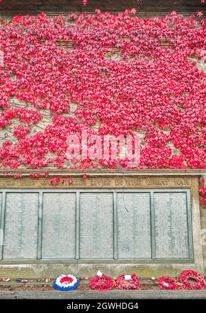 Kriegsdenkmal (für diejenigen, die im großen Krieg, auch bekannt als erster Weltkrieg, starben) an einer mit purpurrotem Efeu verkleideten Wand der Alfred East Kunstgalerie, Kettering, England. Stockfoto