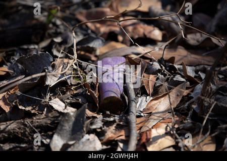 Leere, verrostete, violette Munitionshülle in abgestorbenen Blättern auf dem Boden Stockfoto
