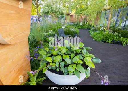 Die Silbermedaille gewann Florence Nightingale Show Garden auf der RHS Chelsea Flower Show, Royal Hospital Chelsea, London SW3 im September 2021 Stockfoto