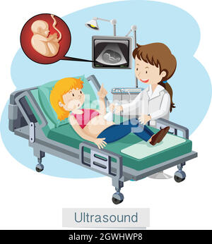 Ein Frauenultraschall im Krankenhaus Stock Vektor