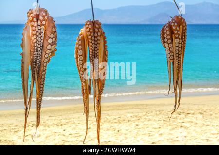Kraken hängen zum Trocknen am Strand Stockfoto