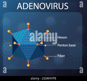 Adenovirus-Strukturdiagramm auf dem Hintergrund des Virus-Symbols Stock Vektor