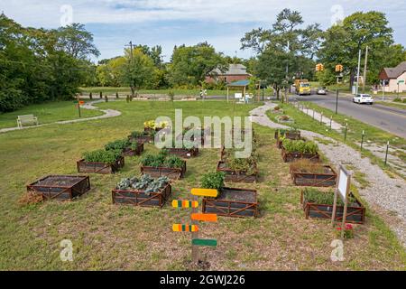 Detroit, Michigan - der Garten von Eatin. Der Garten bietet Nachbarn die Möglichkeit, ihre eigenen Produkte in Hochbeeten anzubauen. Es wird gesponsert von Mt. Stockfoto