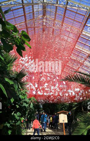 One Thousand Springs, eine komplizierte Konstruktion aus 5000 Haikus, die in einem Netz aus roten Fäden aufgehängt wurden, von dem japanischen Künstler Chiharu Shiota im gemäßigten Haus, dem Herzstück des Japan Festivals, in Kew Gardens, London, Großbritannien Stockfoto