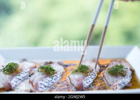 Hand nehmen Seebarsch Sashimi mit Essstäbchen. Roher Seebarsch mit der Sauce auf weißem Teller. Japanisches Restaurant. Traditionelles japanisches Essen. Roher Fisch. Stockfoto