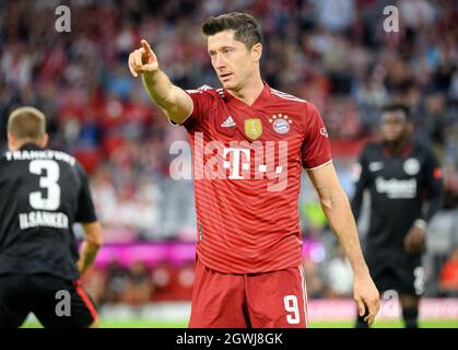 München, Deutschland. Oktober 2021. Fußball: Bundesliga, FC Bayern München - Eintracht Frankfurt, Matchday 7, Allianz Arena. Der Münchner Robert Lewandowski gedeutet.WICHTIGER HINWEIS: Gemäß den Anforderungen der DFL Deutsche Fußball Liga und des DFB Deutscher Fußball-Bund ist es untersagt, im Stadion und/oder des Spiels aufgenommene Fotos in Form von Sequenzbildern und/oder videoähnlichen Fotoserien zu verwenden oder zu verwenden. Quelle: Matthias Balk/dpa/Alamy Live News Stockfoto