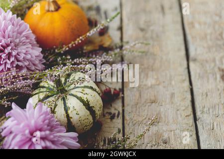 Frohe Thanksgiving Stilvolle Kürbisse, Herbstblätter, lila Dahlien Blumen, Heidekraut auf rustikalem alten Holzhintergrund. Herbsternte ländliche Zusammensetzung, Stockfoto