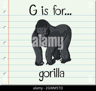 Flashcard Buchstabe G ist für Gorilla Stock Vektor