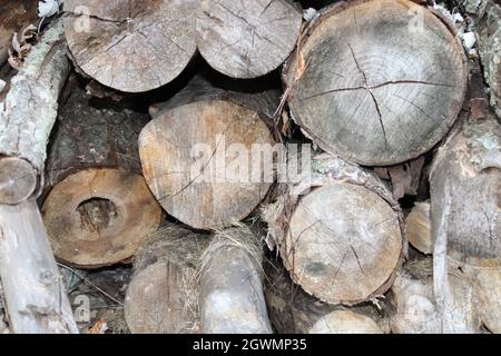 Die Protokolle des Holzes im Holzstapel. Stockfoto