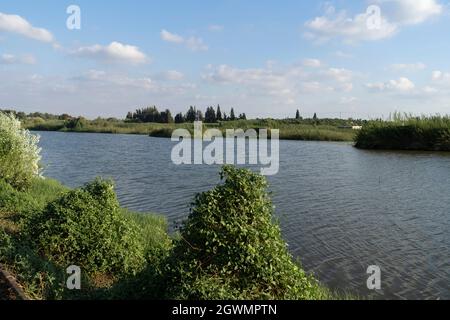 Agmon Hefer im Hefer Valley Stockfoto