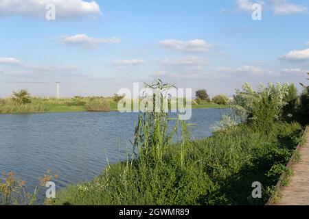 Agmon Hefer im Hefer Valley Stockfoto