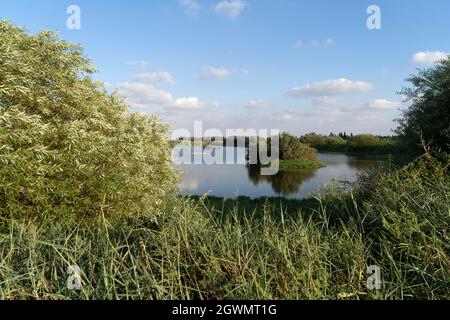 Agmon Hefer im Hefer Valley Stockfoto