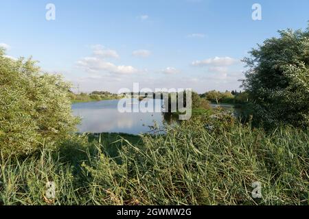 Agmon Hefer im Hefer Valley Stockfoto