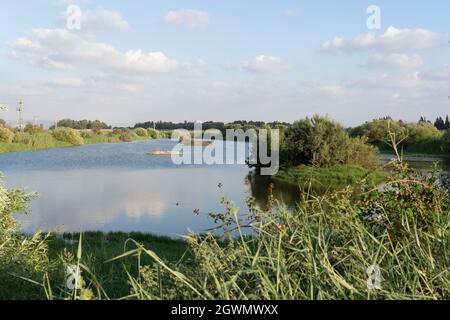 Agmon Hefer im Hefer Valley Stockfoto