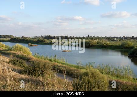 Agmon Hefer im Hefer Valley Stockfoto