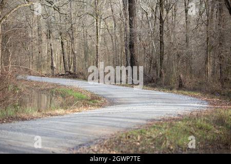 Felsige, geschotterte Straße, die sich durch ein bewaldete Gebiet schlängelt Stockfoto
