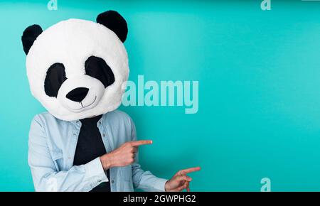 Lustiger Mann in Panda-Maske, der die Finger zur Seite über den aquamarinfarbenen Hintergrund zeigt Stockfoto