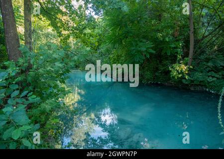 Parco Fluviale dell'Elsa, River Elsa Natural Park, Colle Val d'Elsa, Toskana Stockfoto