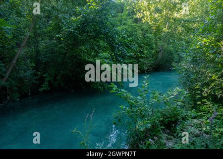 Parco Fluviale dell'Elsa, River Elsa Natural Park, Colle Val d'Elsa, Toskana Stockfoto