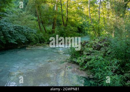 Parco Fluviale dell'Elsa, River Elsa Natural Park, Colle Val d'Elsa, Toskana Stockfoto