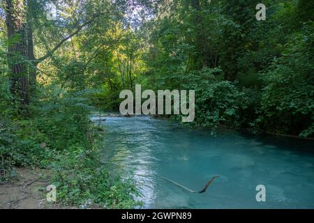 Parco Fluviale dell'Elsa, River Elsa Natural Park, Colle Val d'Elsa, Toskana Stockfoto