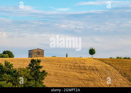 Typicallandscape in der Toskana, Italien Stockfoto