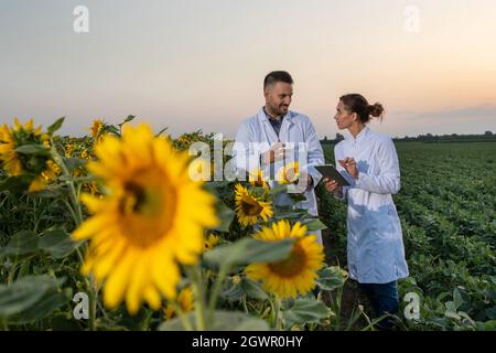 Junge Wissenschaftlerin hält Tablet und hört auf die Seite. Männlicher Experte trägt weißen Laborkittel und erklärt. Zwei Agronomen stehen im Freien in f Stockfoto