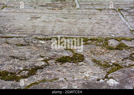 Steinfliesengang mit Mulch und Schmutz zwischen Rissen und Nähten. Betonfliesen auf dem Laufsteg Stockfoto