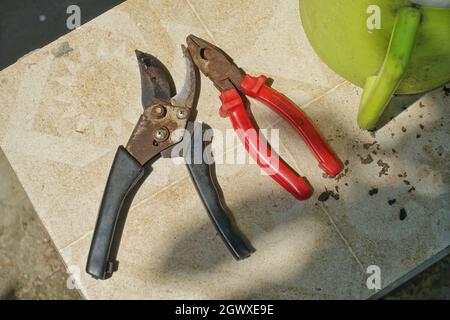 Schneidwerkzeuge und rote Zangen Pflanzen Stockfoto