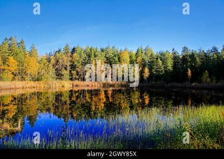 Der kleine Sumpfsee Kolmperä in Salo, Südfinnland, ist an einem schönen Tag Ende September 2021 in lebendigen Herbstfarben gehalten. Stockfoto