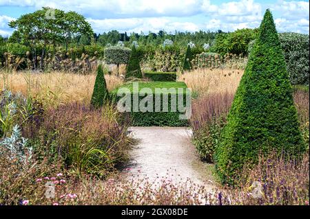 RHS Hyde Hall, Modern Country Garden. Abgeschnitten und getrimmt Eibe und Box, immergrüne Struktur. Stockfoto