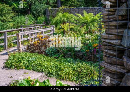 Holzbrücke über den Robinson Garden ay Hyde Hall. Stockfoto