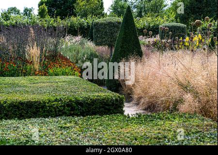 RHS Hyde Hall, Modern Country Garden. Abgeschnitten und getrimmt Eibe und Box, immergrüne Struktur. Stockfoto