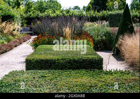 RHS Hyde Hall, Modern Country Garden. Abgeschnitten und getrimmt Eibe und Box, immergrüne Struktur. Stockfoto