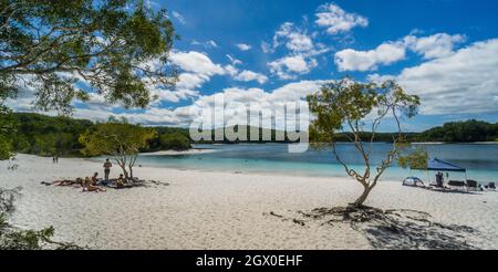 Strand am Lake McKenzie, einem Süßwassersee auf Fraser Island, der größten Sandinsel der Welt, Fraser Coast Region, Great Sandy National Park, Wide Bay– Stockfoto