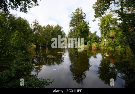 Zehdenick, Deutschland. September 2021. Laubbäume spiegeln sich im Wasser der Havel in der Nähe des Stadtzentrums. Quelle: Soeren Stache/dpa-Zentralbild/ZB/dpa/Alamy Live News Stockfoto