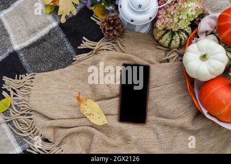 Herbstkomposition mit Smartphone, Kürbissen, fallenden Blättern auf Karli Stockfoto