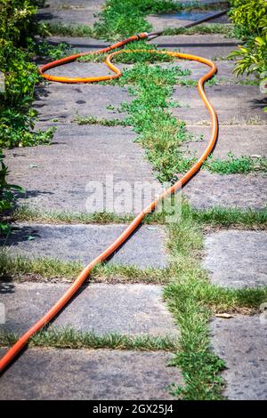 Ein orangefarbener langer Gartenschlauch im Hinterhof eines Privathauses. Stockfoto