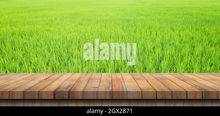 paddy Reis und leerer Holztisch im Reisfeld mit Kopierraum, Displaymontage. Stockfoto