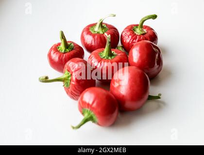 Schöne rote Paprika auf hellem Hintergrund, geeignet für Tapeten Stockfoto