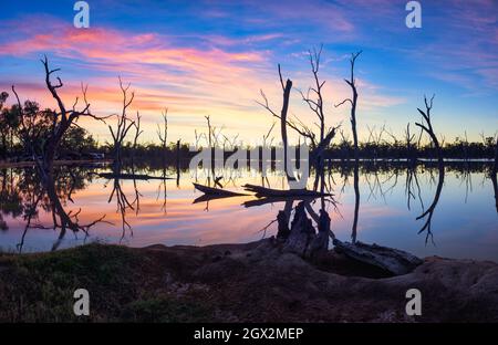 Wunderschöner Sonnenuntergang, umrahmt von silhouettierten toten Bäumen an der natürlichen Frühlingslagune auf einer Station in der Nähe von Barcaldine im Westen von Queensland in Australien. Stockfoto