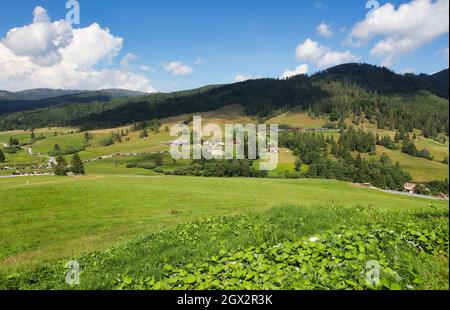 Wiese mit Chalet in Zbojska, Slowakei - Muranska planina Stockfoto