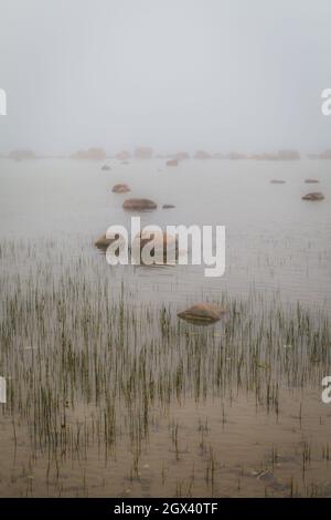 Die Ostseeküste ist mit Nebel bedeckt. Stockfoto