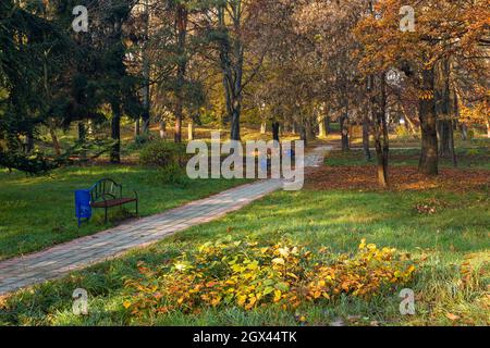 Stadtpark an einem sonnigen Herbstmorgen. Gehweg zwischen Bäumen in orangefarbenem Laub Stockfoto